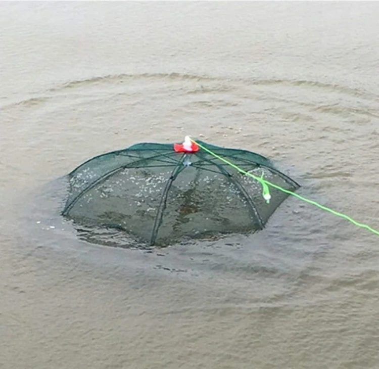 SIATKA PUŁAPKA PARASOL NA RYBY AMSTEIN SKŁADANA 12 OTWORÓW